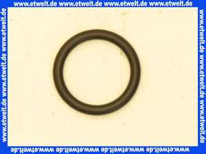 87120050100 Junkers O-Ring