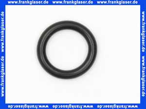 87161034930 Junkers O-Ring 1 Stück