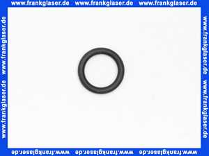 87167715970 Junkers O-Ring (1 Stück)