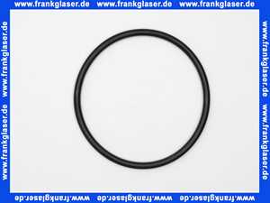 87185725380 Junkers O-Ring 120,02x6,99-N für SK...-5..., SKE...-5 Solar