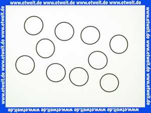 87228801750 Junkers O-Ring (10x)