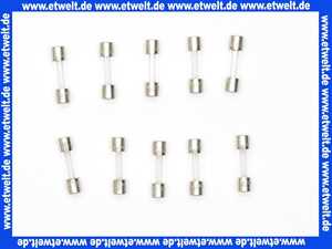 87229017630 Junkers Sicherung F2A (10x)