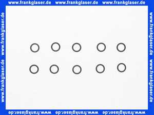 87402050090 Junkers O-Ring (10x)