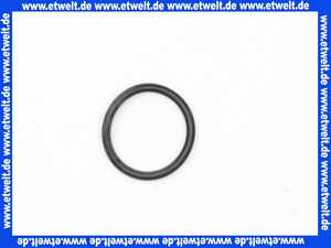 87402050750 Junkers O-Ring