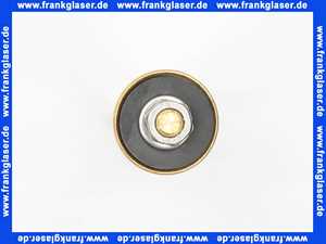 A61095700001500 Ventilkegel inkl. RV und Dichtung für Frosti 570/571/572 DN15 1/2 Zoll