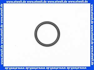 92513000 O-Ring Kludi