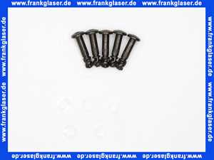 95.90100-0008 MHG MAN Verschlußzapfenset 6x23 mm, schw