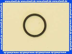 95.99187-0033 MHG MAN Dichtring 3/4 Zoll ProCon Streamline