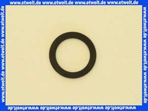 95.99187-0034 MHG MAN Dichtring 1 Zoll, Pumpe ProCon Streamline