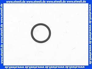 O-Ring Dichtung Dichtring 17,13x2,62 mm NBR