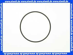 6206000 Oventrop O-Ring