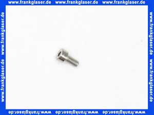 104399 Palme Schraube