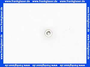 104399 Palme Schraube