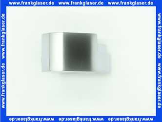 PA104547 Palme Hebescharnier unten rechts, Kabine TopDrive ab BJ 2008, in Alusilber