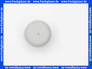 Kappen Gleiter für Rundrohre 30 mm Rohr-Außendurchmesser Polyethylen grau Gesamthöhe 25 mm