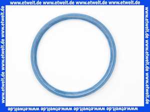 Remeha Dichtelement Dichtring DN 80/Blau 0009270