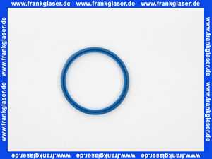 Remeha Dichtung DN 70 Kesselanschluß DPSM 0257432