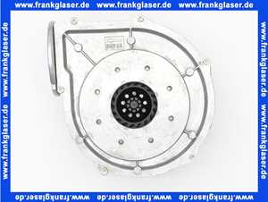 Remeha Gebläse230V:G1G 126-Aa49-58 DPSM250+D 0284346
