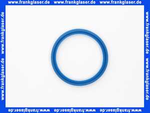 Remeha Dichtelement DN 60/Blau 0284798