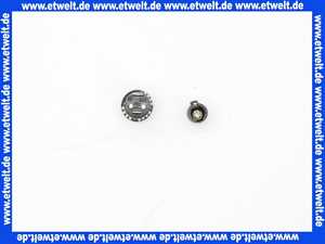 Remeha Sicherungsträger 200007602