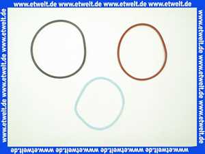 Remeha Set Dichtung Brennertür 200010270