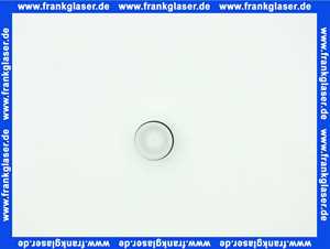 Remeha Rückschlagklappe 200021528