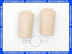 REMEHA 295184 Retarder-Satz m.Halterung Domo+32