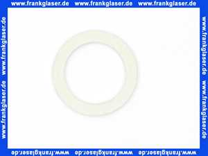 Remeha AFM 34 HELLGR. 30X22X2MM - 1 300001206