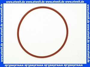 Remeha Dichtung Brennertür 300013282