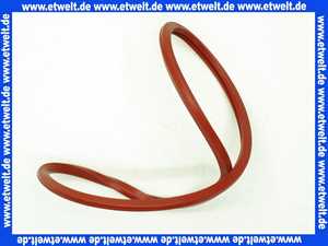 Remeha Dichtung Brennertür 300013282