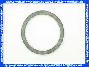 Remeha Dichtung 300019004