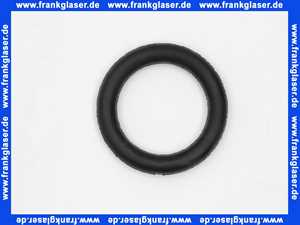 Remeha O-Ring 21.89 x 2.62 300023277