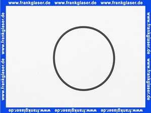 Remeha O-Ring-Dichtung Hera Condens 7626806 (1 Stück)