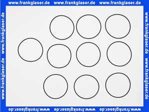 Remeha O-Ring-Dichtung Hera Condens 7626806