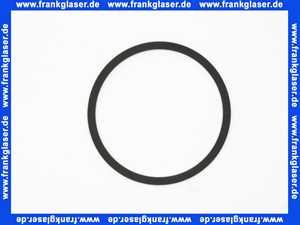 Remeha Dichtung Pumpe 7700944