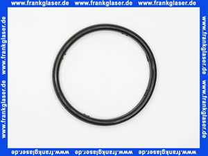 Remeha Dichtung/O-Ring Reinigungsflansch 7795810