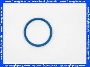 Remeha Dichtung DN 70 Kesselanschluß DPSM 7797919