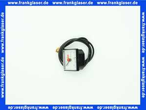 7879728 Remeha Manometer