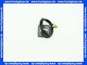 7879728 Remeha Manometer