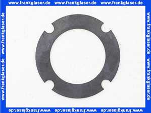 7879796 Remeha Flanschdichtung EPDM