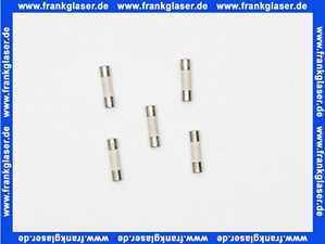 7879926 Remeha SichErung 6.3A Temp 5x