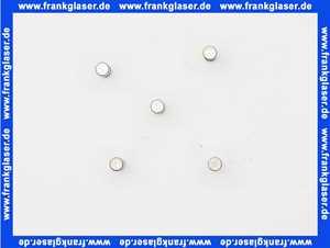 7879926 Remeha SichErung 6.3A Temp 5x