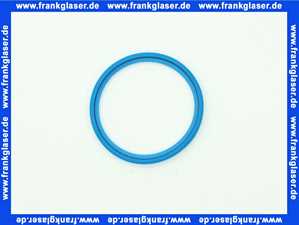 7880530 Remeha Dichtung