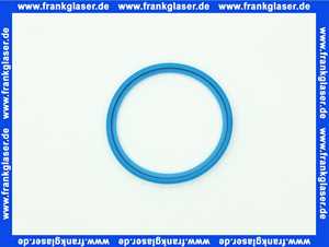 7880530 Remeha Dichtung