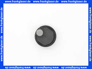 Remeha Entlüfter Pumpe + O-Ring Dichtung 94918142