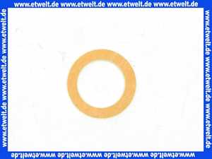 Remeha Dichtung 30x21x2 95013062