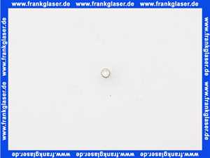 95340249 Remeha Sicherung 6.3A (Nachfolgeartikel)