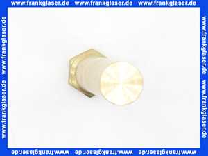 Remeha Tauchhülse 1/2 -Lg160mm 95365611