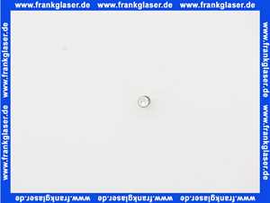 Remeha Sicherung 4A 96547000