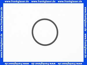 Remeha O-Ring 97580632